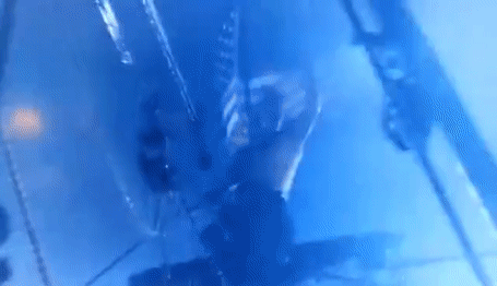 Lt. Dan shouting at a storm